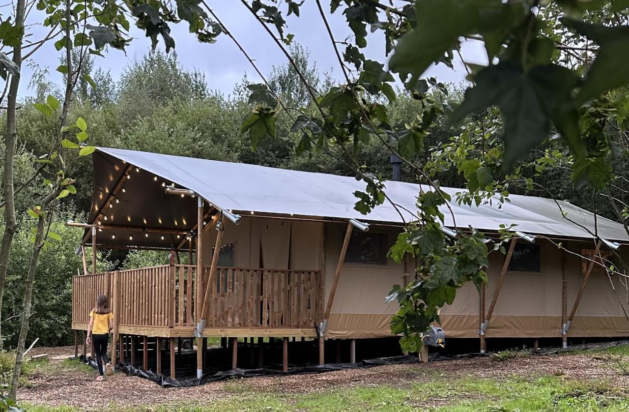 Cherry Tree Safari Lodge Talaton المظهر الخارجي الصورة